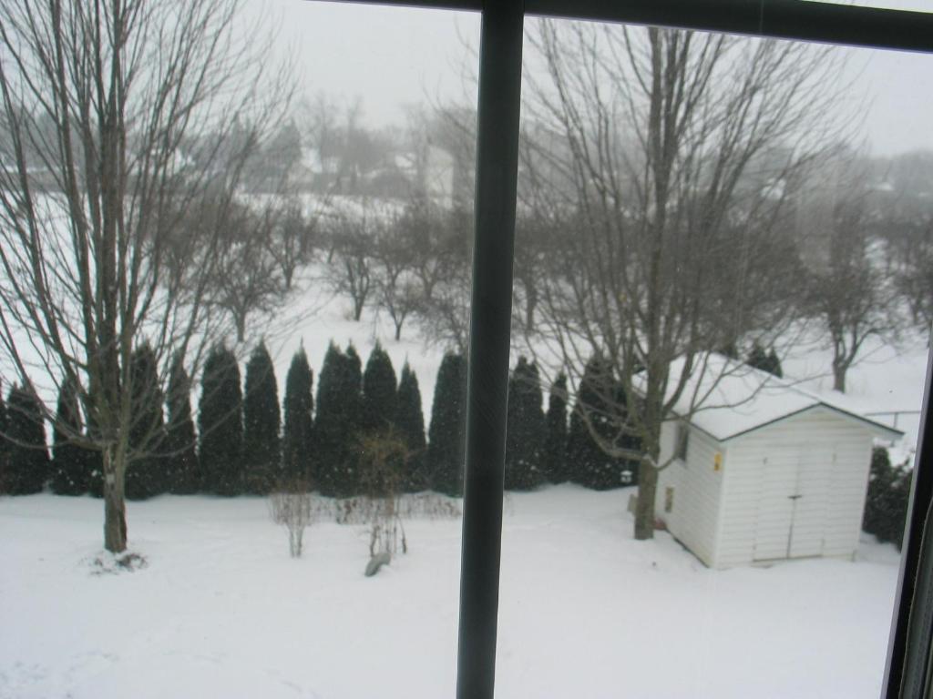 Arnica Bed & Breakfast Bed & Breakfast Niagara-on-the-Lake Bagian luar foto